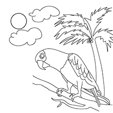 Parrot coloring page of animals