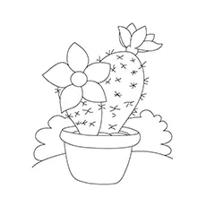 The Peruvian apple cactus coloring page