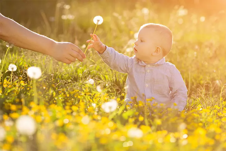 Pink eye in babies may occur due to allergens, such as pollen and dust mites