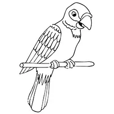 Puerto Rican parrot coloring page