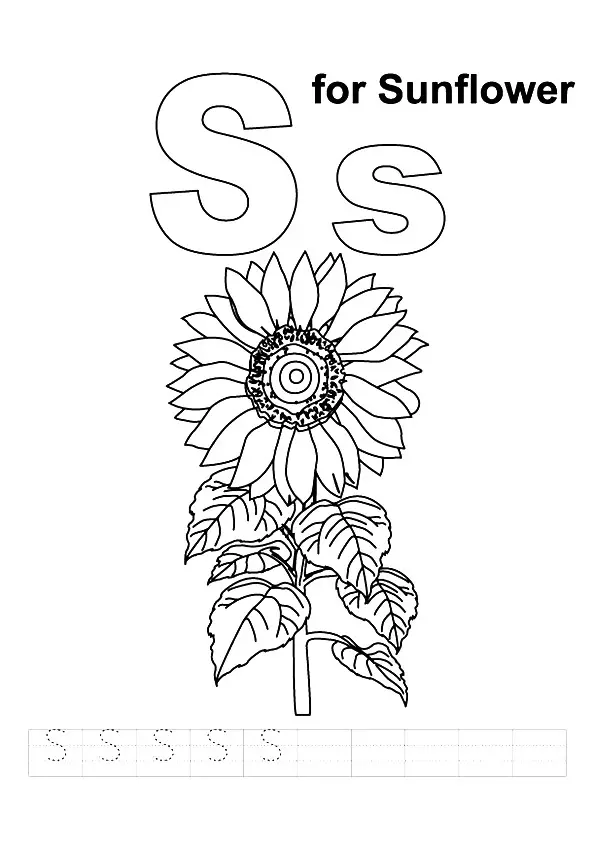 S-For-Sunflower