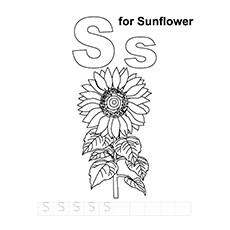 S for sunflower coloring page