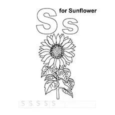 S for sunflower coloring page