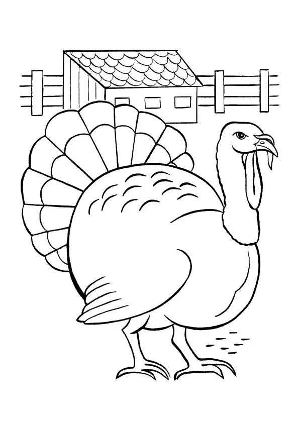 Slate-Turkey