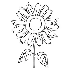 Sunny smile sunflower coloring page