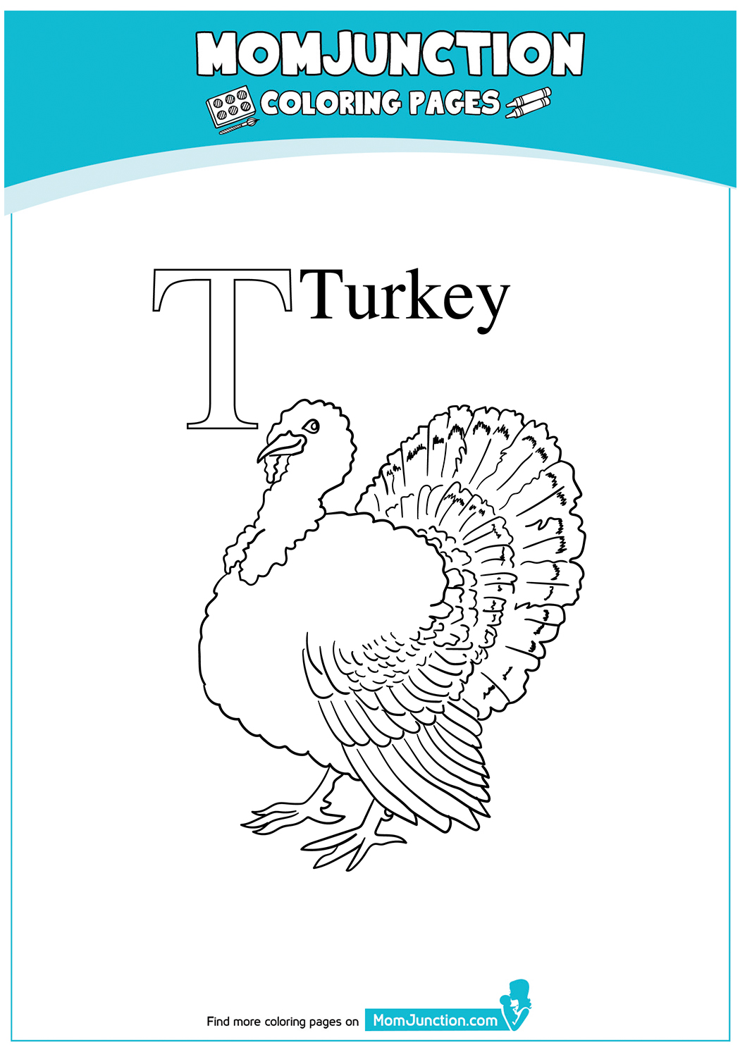 T-For-Turkey-17