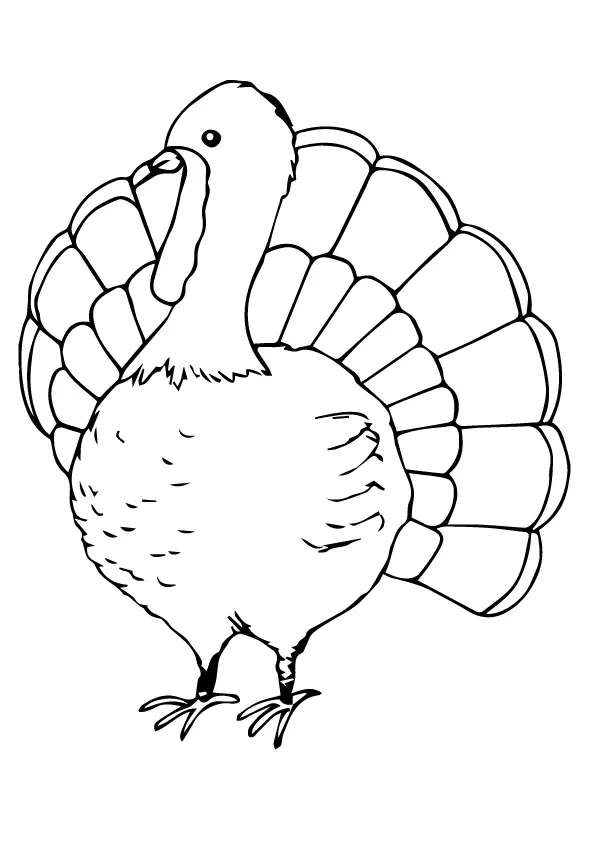 The-Turkey