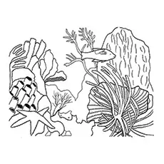 The vibrant coral reef printable coloring page_image