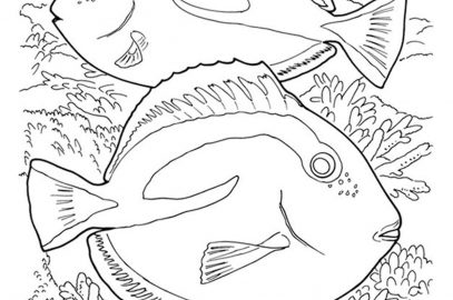 Top 10 Coral Coloring Pages For Toddler