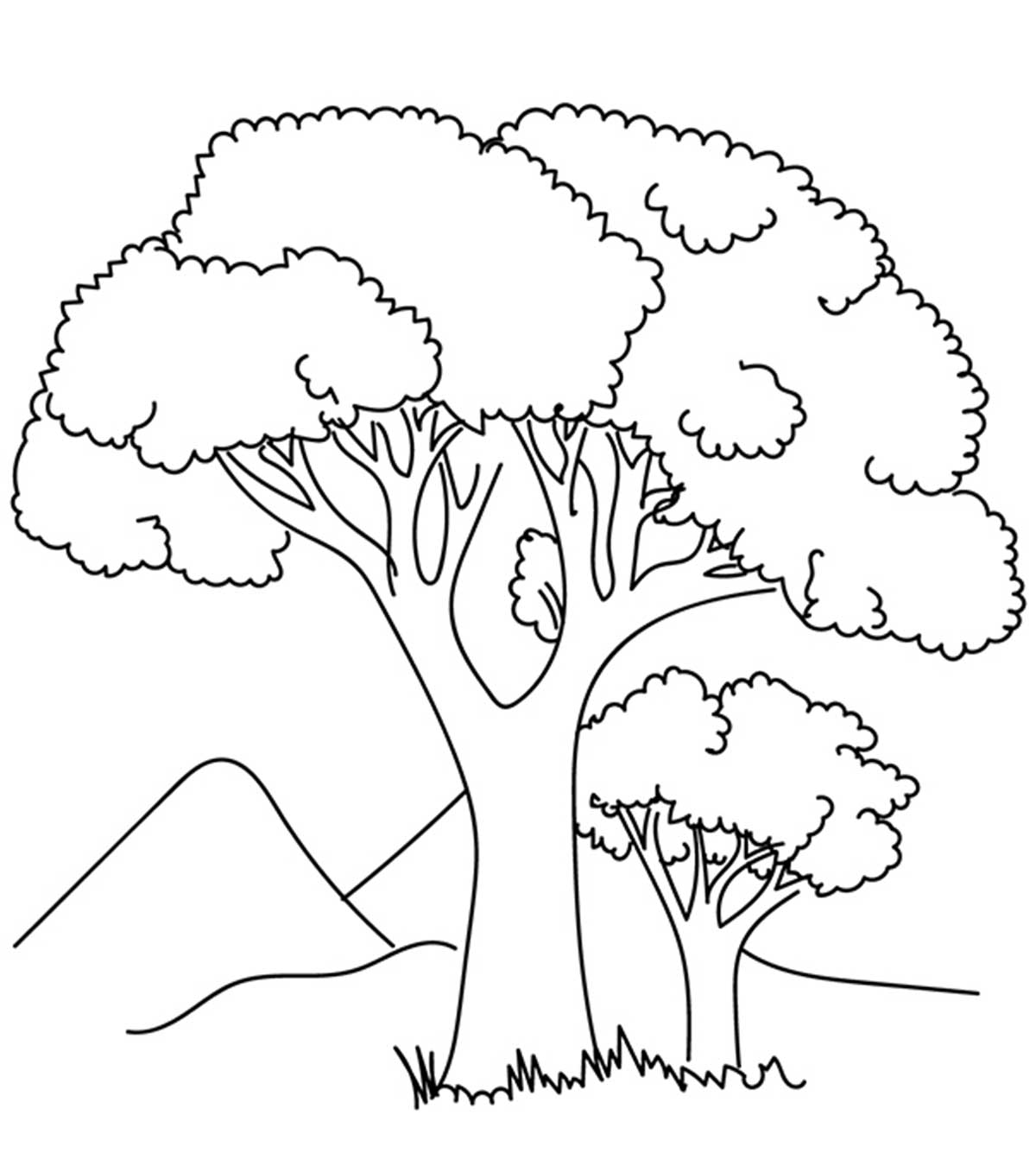Coloring Picture Of Trees 1