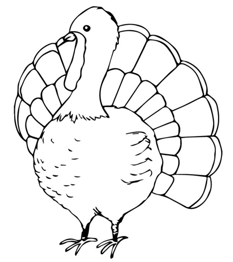 Top 25 Turkey Coloring Pages For Toddlers