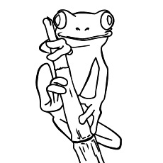 Tree frog coloring page
