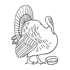 Turkey enjoying his meal coloring page