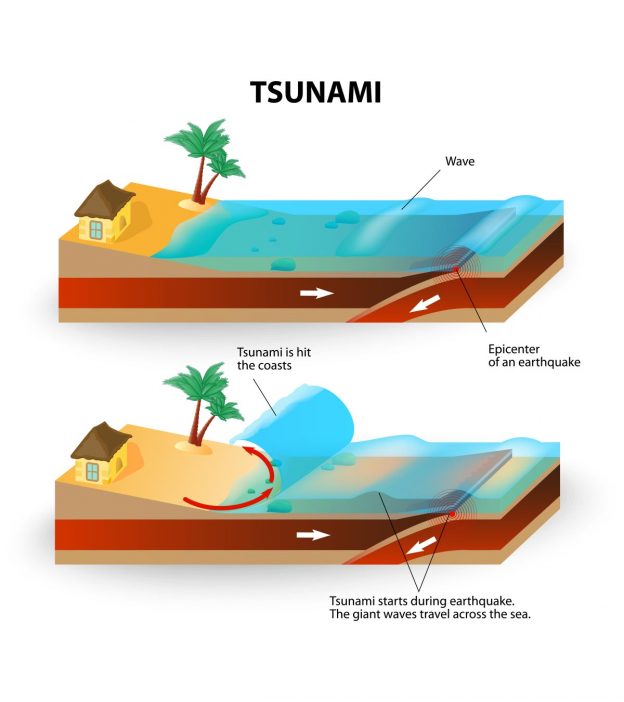 Top 10 Fascinating Tsunami Facts For Kids Of All Ages