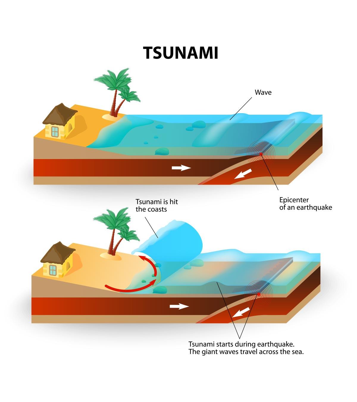 Top 10 Fascinating Tsunami Facts For Kids Of All Ages