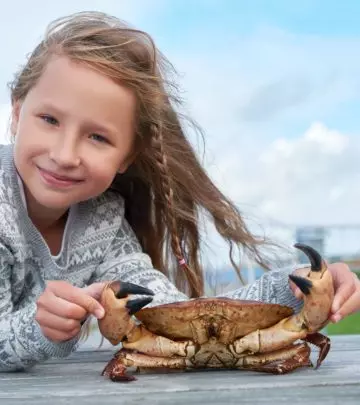 24-Fun-Facts-And-Information-About-Crab-For-Kids
