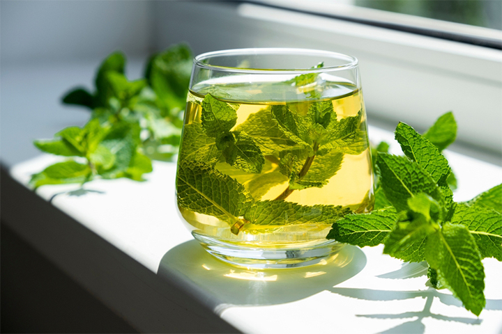 A single cup of peppermint water produces antispasmodic effects in the body