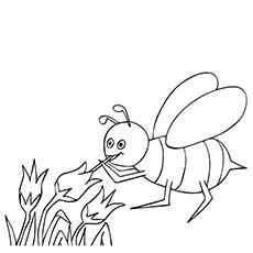 Bee sucking honey coloring page