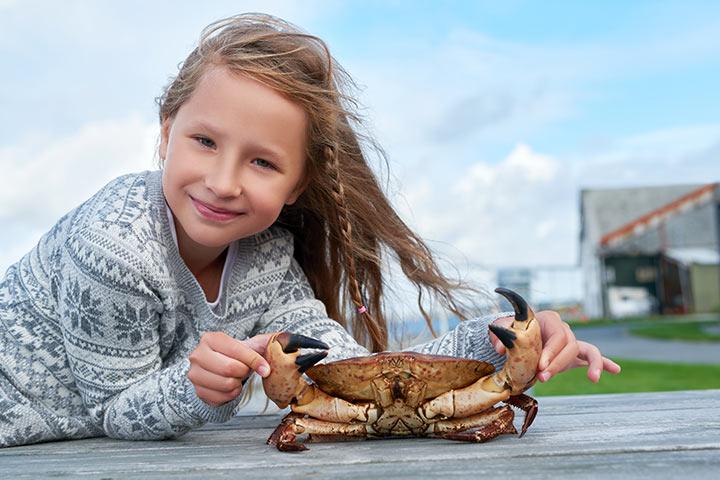 24 Fun Facts And Information About Crab For Kids