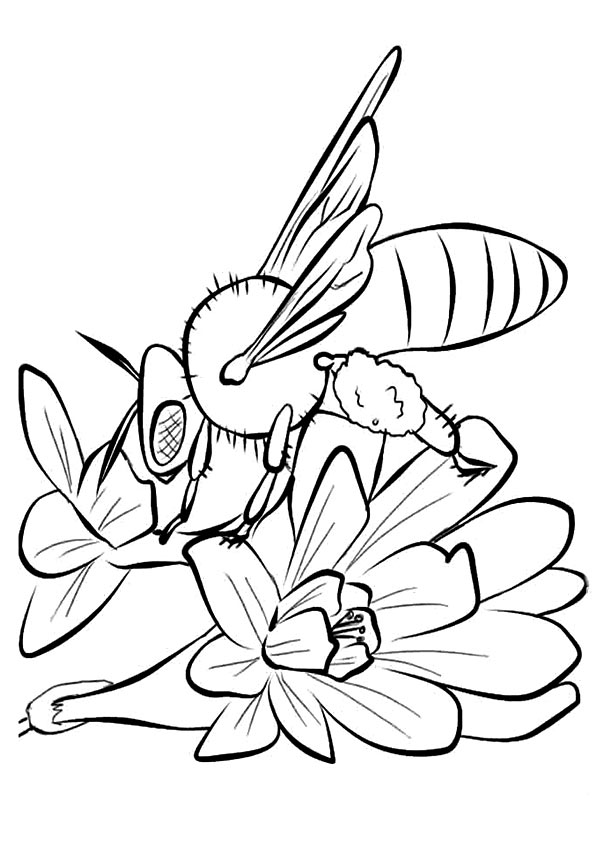Cuckoo-Bumblebee-And-Flower