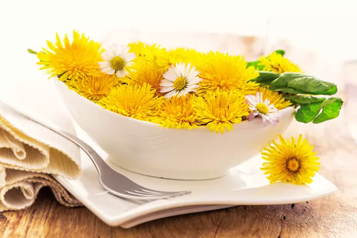 Is Dandelion Root Safe During Pregnancy?_image