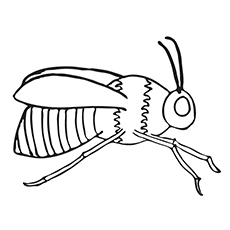 Early bee coloring page
