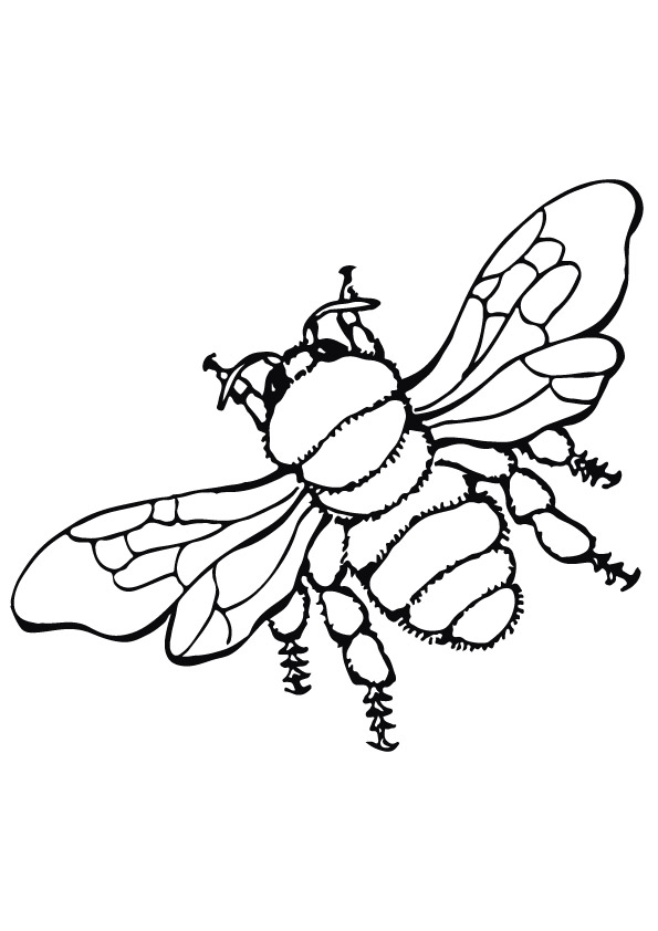 Flying-Bumblebee