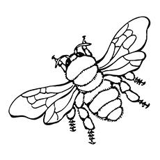 Flying bumblebee coloring page