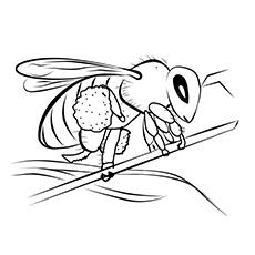 Franklin’s Bumblebee Holding a Stick Coloring Page to Print_image