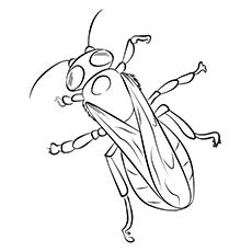 Garden bee coloring page