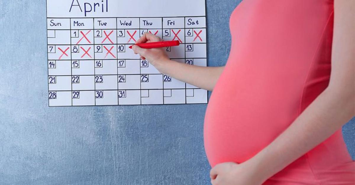 Pregnancy Chart Week To Month