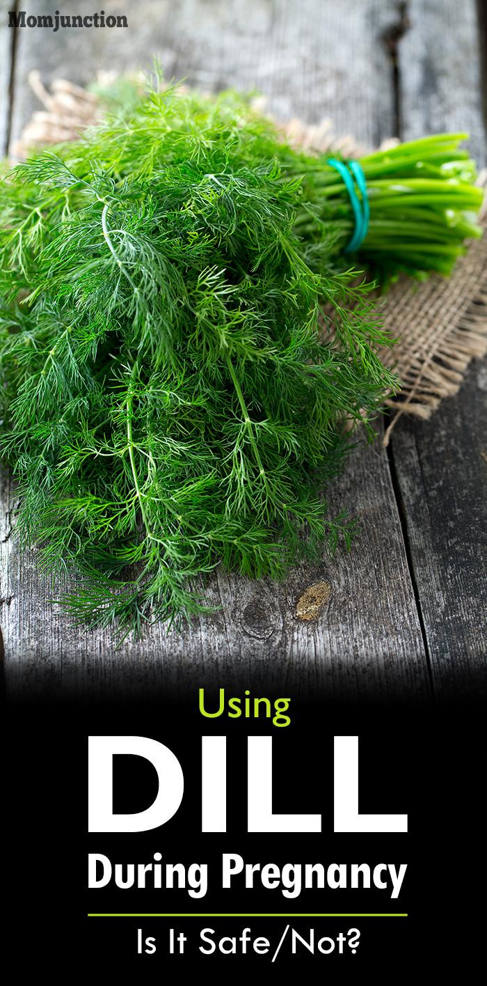 Is It Safe To Use Dill During Pregnancy?