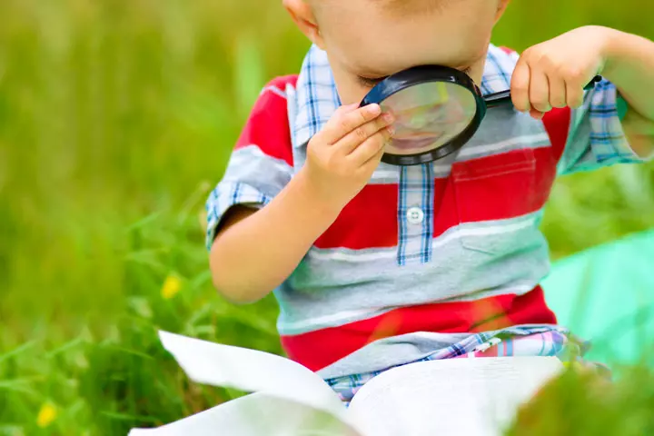 Magnifying Glass Exploration