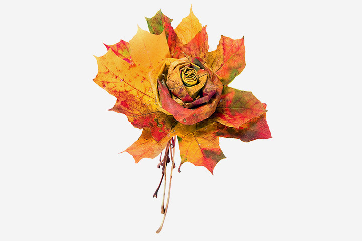 Maple rose, Thanksgiving crafts for kids