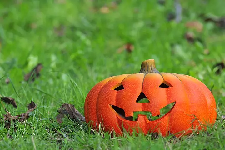 Pin the nose on the Jack-O-Lantern Halloween game for toddlers