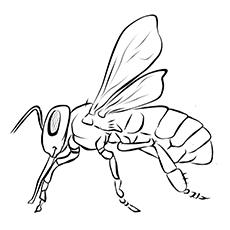 Rusty patched bumblebee coloring page