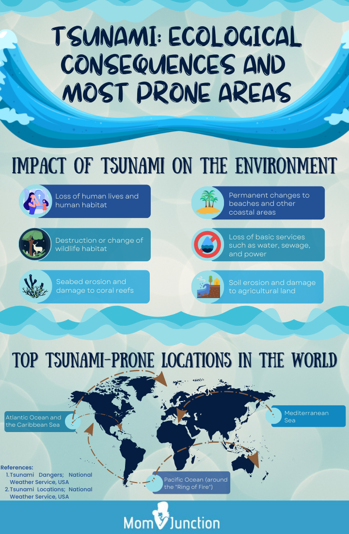 tsunami ecological consequences and most prone areas (infographic)