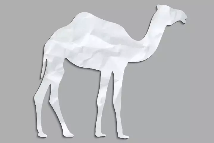 Camel paper crafts for preschoolers