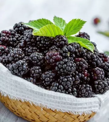 Can You Eat Blackberries While Pregnant
