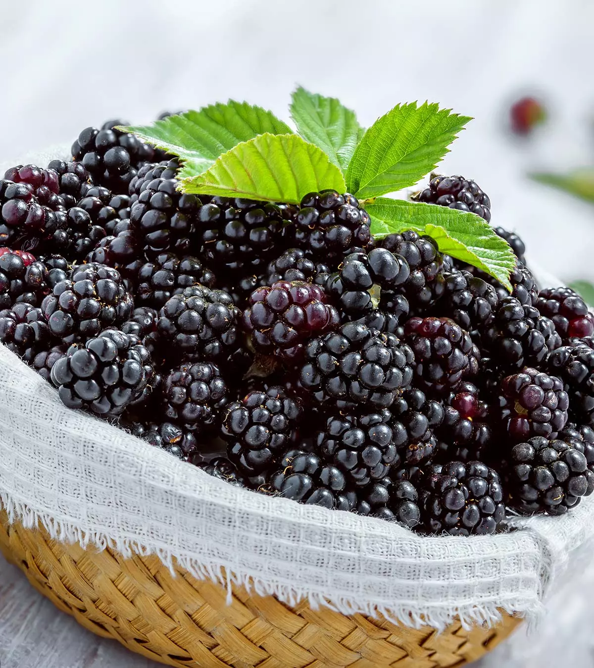 Can You Eat Blackberries While Pregnant?