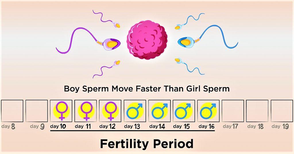 How Much Does It Cost To See If Your Fertile at Gary Christian blog