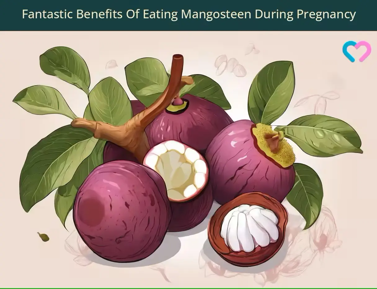 mangosteen during pregnancy_illustration