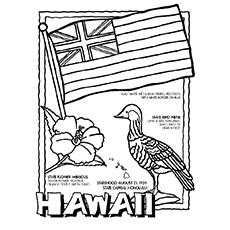 luau coloring page