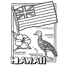 Hawaiian coloring page