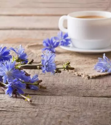 Is-It-Safe-To-Eat-Chicory-During-Pregnancy