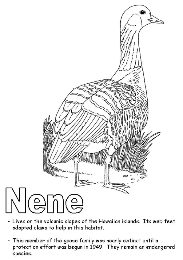 Nene