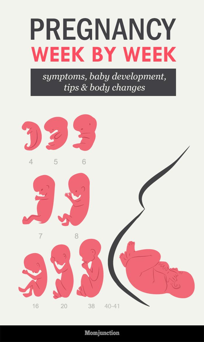 5-months-pregnant-symptoms-belly-baby-development-and-care-tips