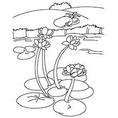 Water Lilies In A Lake coloring page