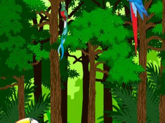 19 Must Know Facts About Rainforest For Kids