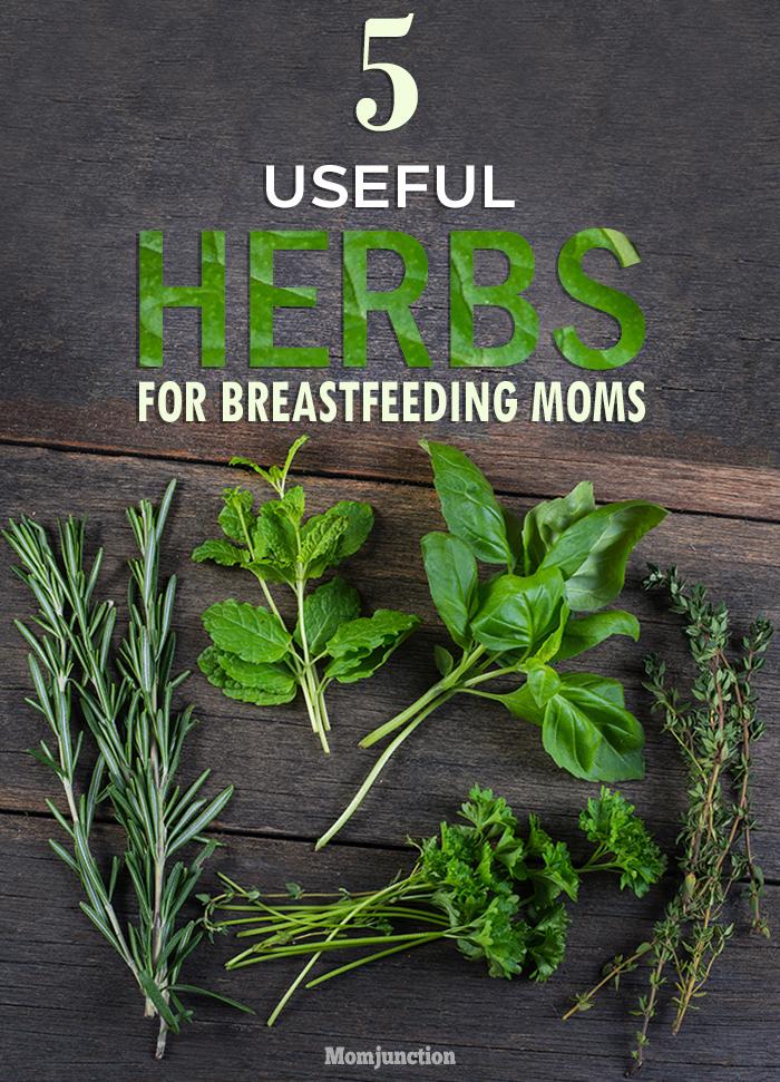 10 Herbs That May Help Increase Breast Milk Supply
